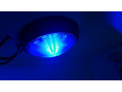 Indv.lys LED hvid/blå m/kontakt