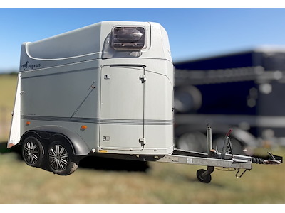 Humbauer Pegasus