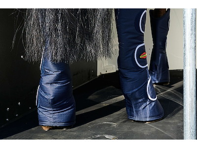 Böckmann Duo Pony/islænder H=2100mm