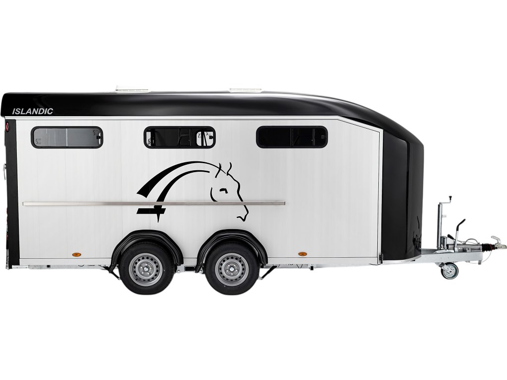 Cheval Liberte Islandic