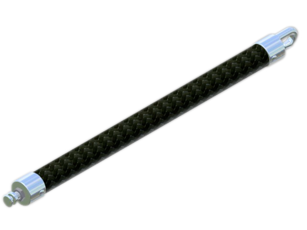 Bagbom Bockmann MSS krog
