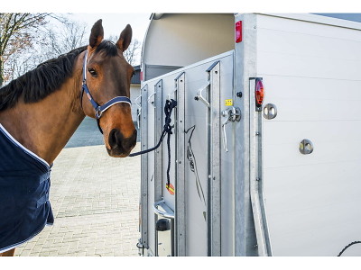 Böckmann Champion Uno Esprit Grundmodel