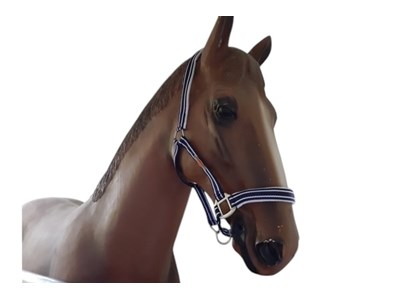 Grime Bøckmann Blå Str-pony