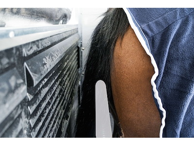 Böckmann Champion C m Vognbeslag