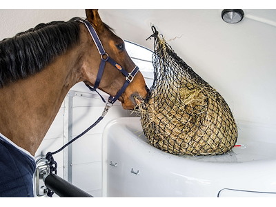 Böckmann Champion Esprit 25