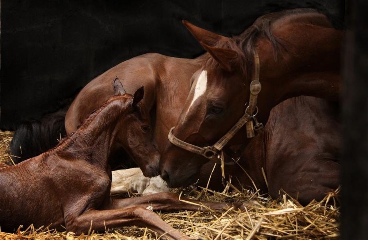 Trådløse løsninger 