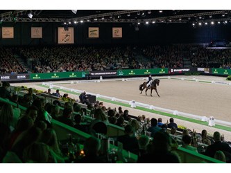 Flytbare arena