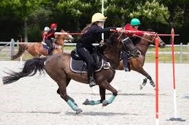 Mounted Games/Ringridning 