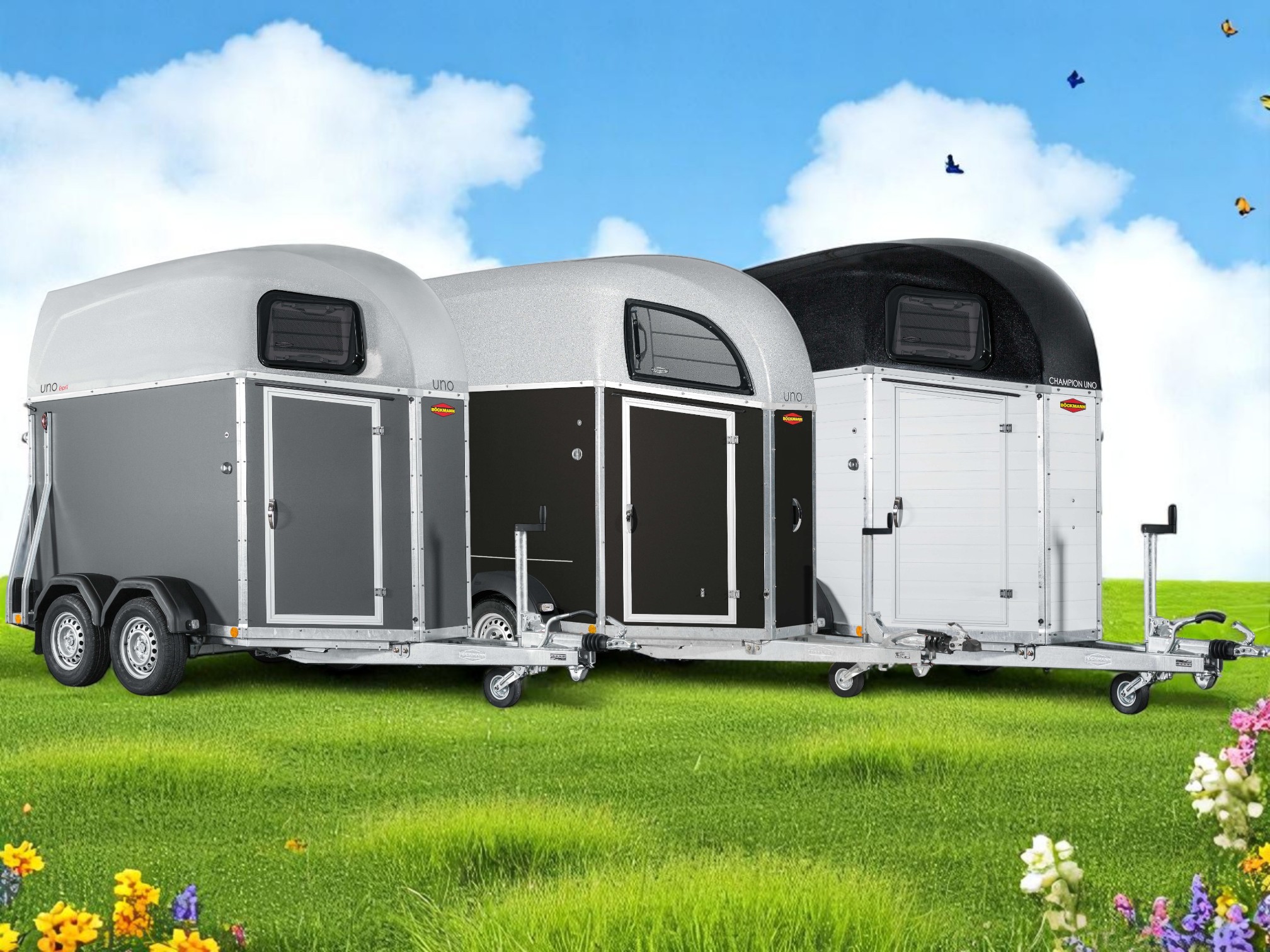 Böckmann Uno 1 Hestes