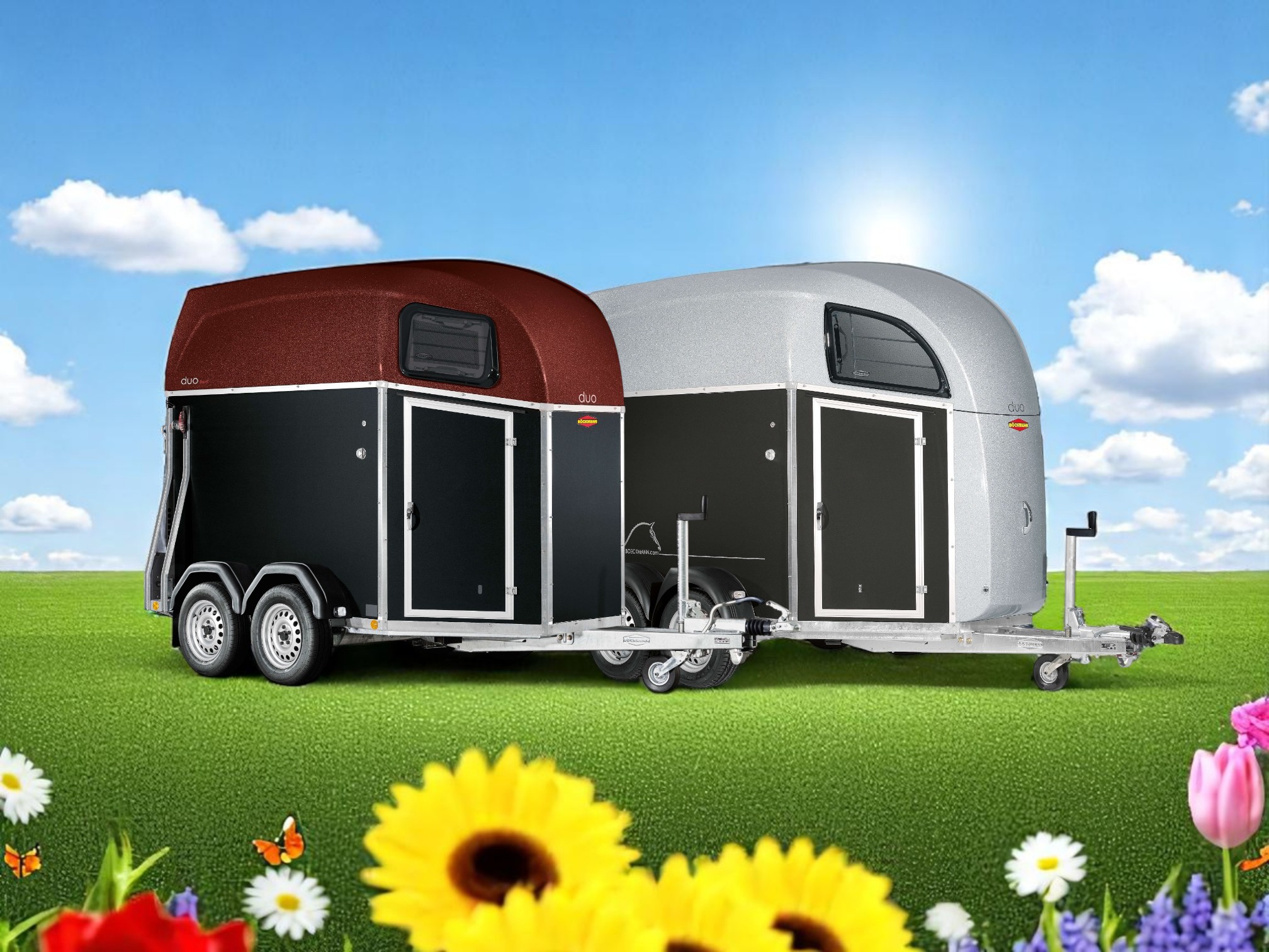 Böckmann Duo 2 Heste