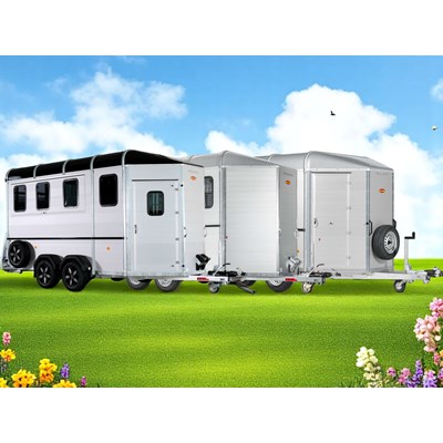 Böckmann 2-5 Heste Traveller