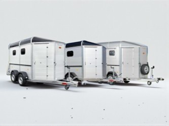 Traveller til små heste