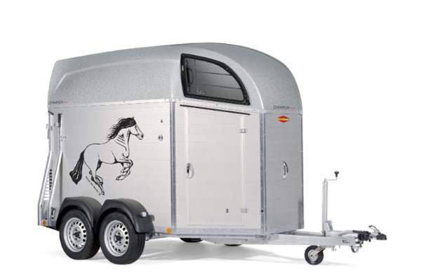 Böckmann Champion Pony