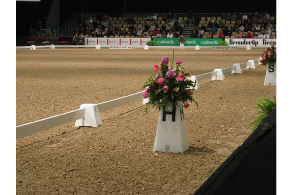 Dressurarena 20x60 m blomsterkegler