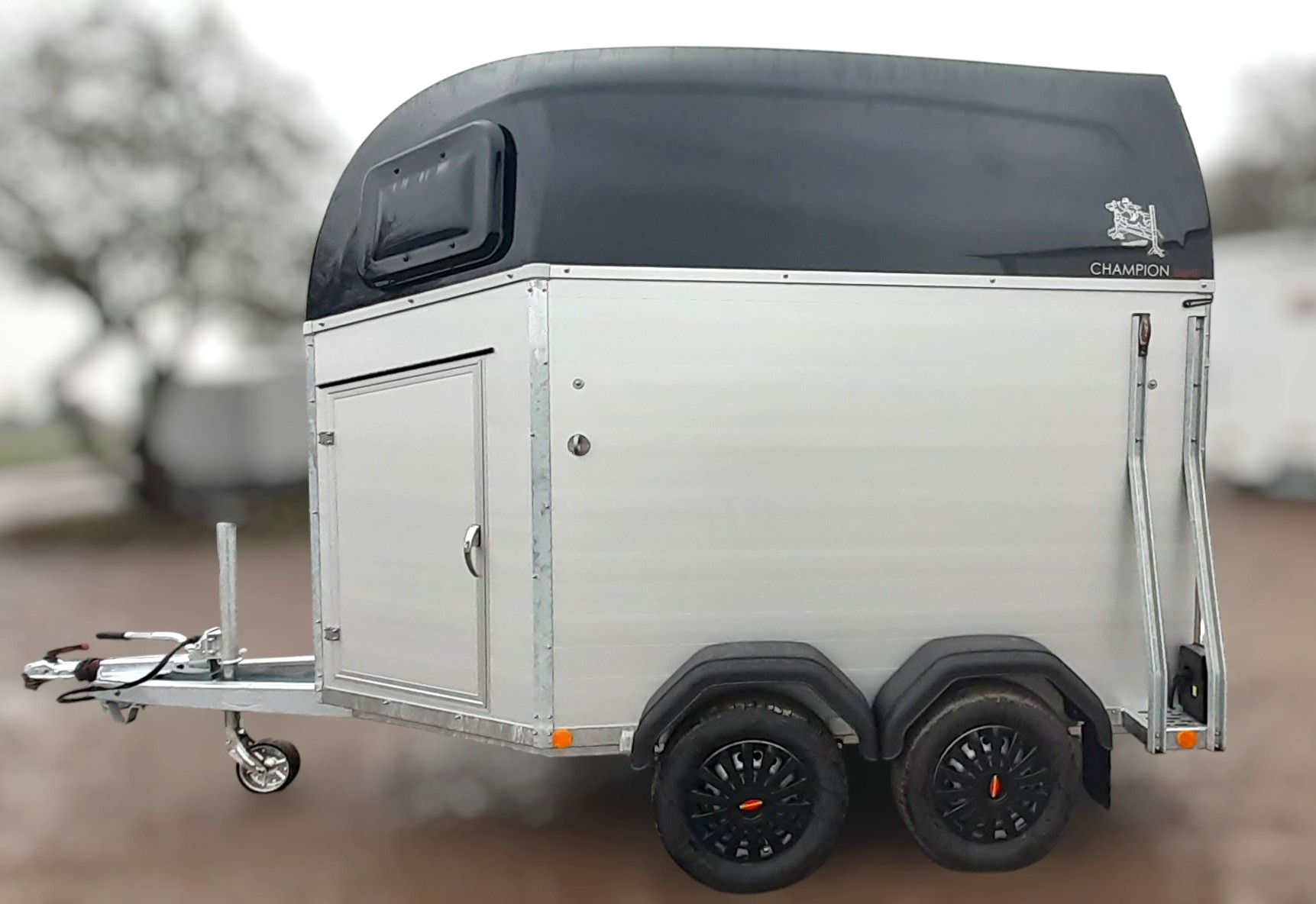 Böckmann Champion Esprit (Udstilling)