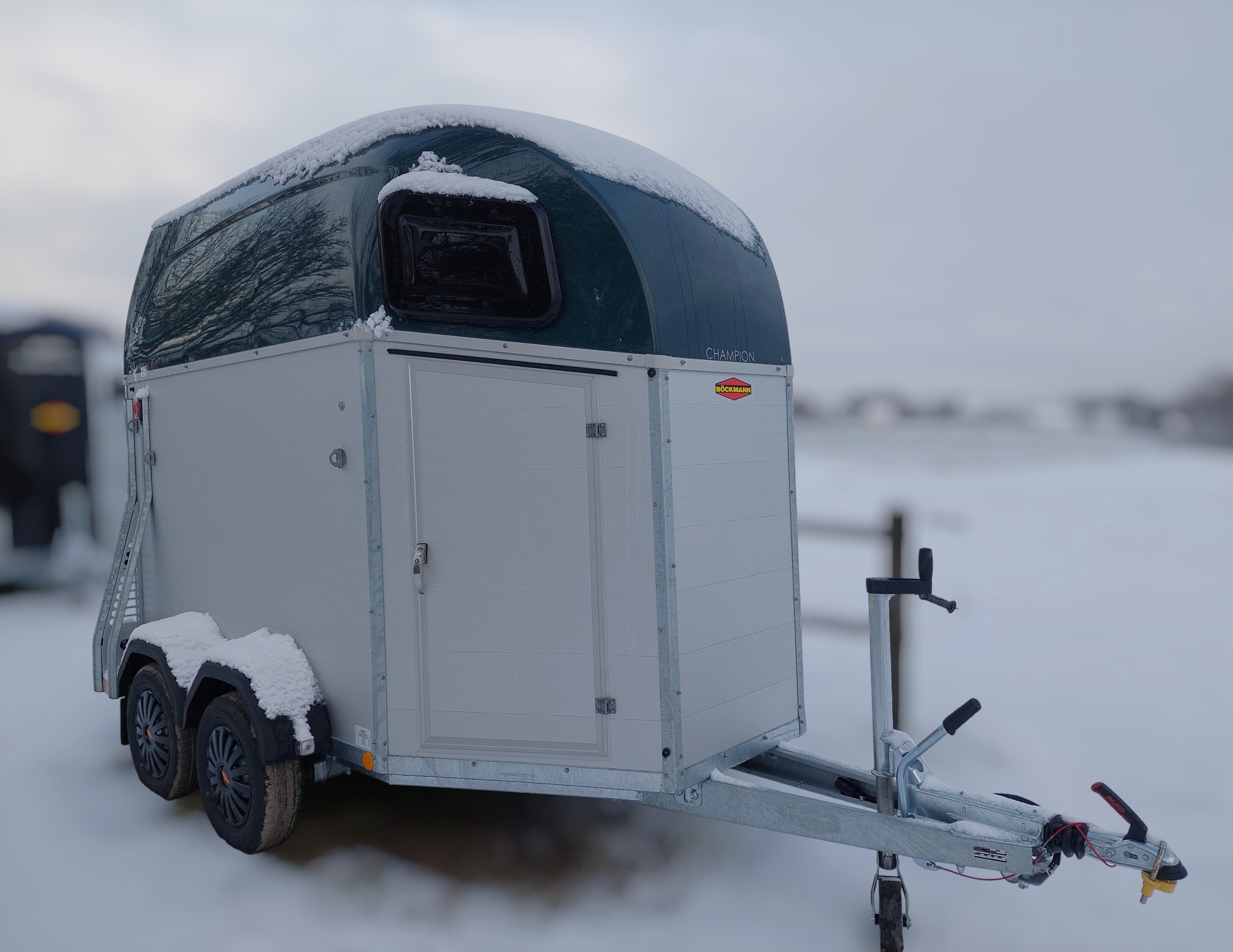 Böckmann Champion Esprit (Udstilling)