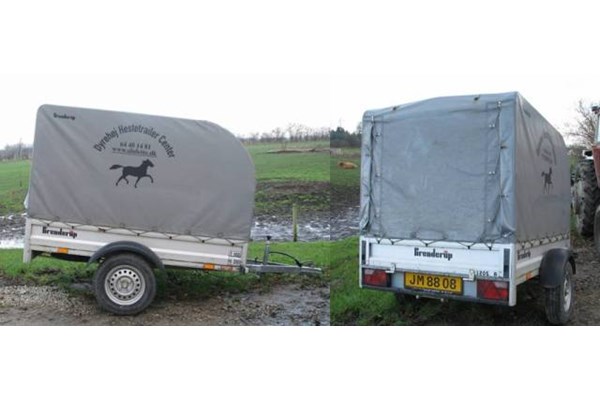 Leje af 500kg trailer 4 timer